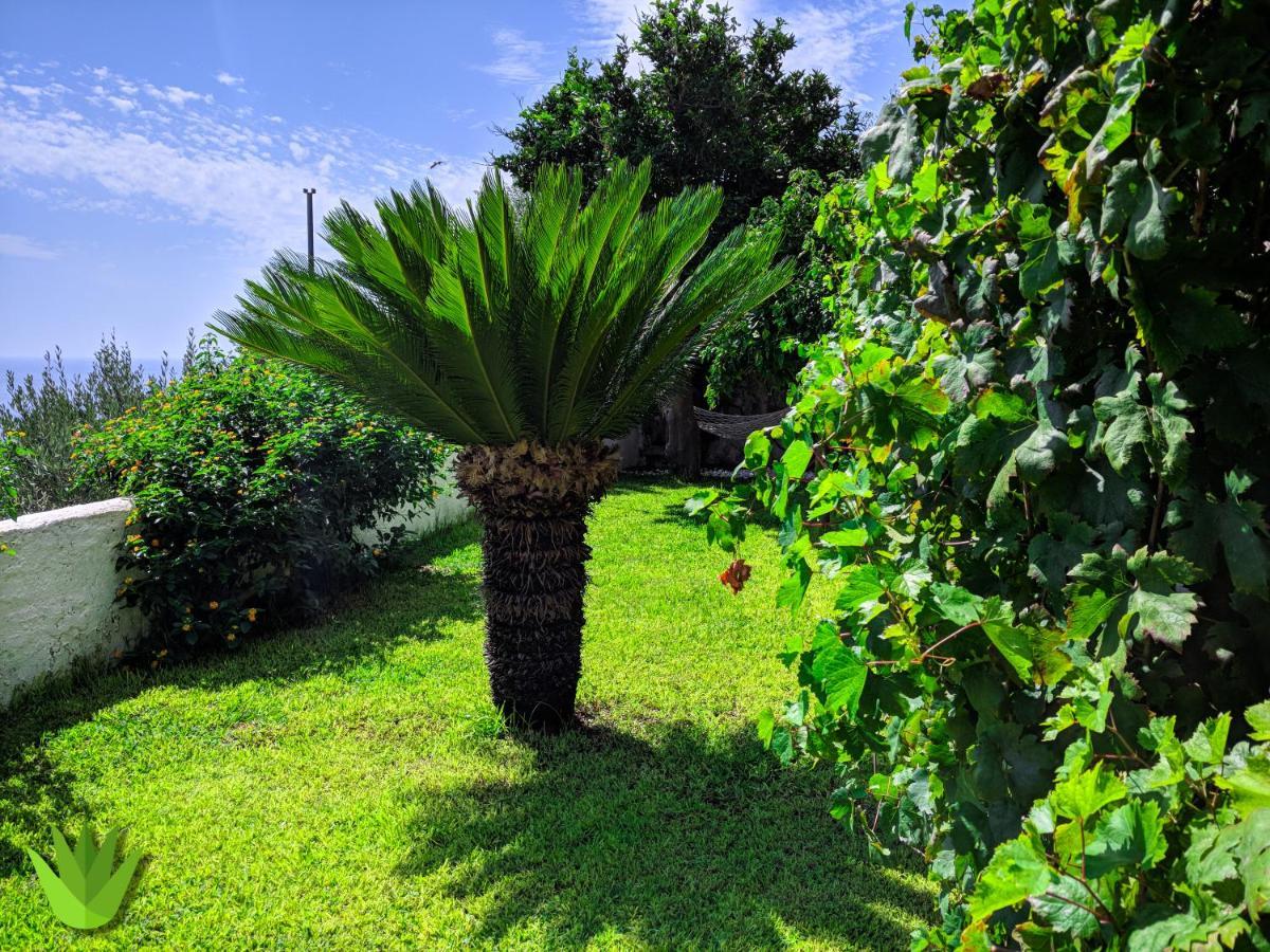Villa Delle Agavi Vietri Extérieur photo