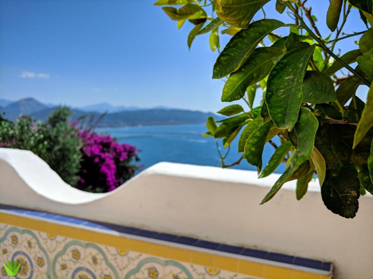 Villa Delle Agavi Vietri Extérieur photo