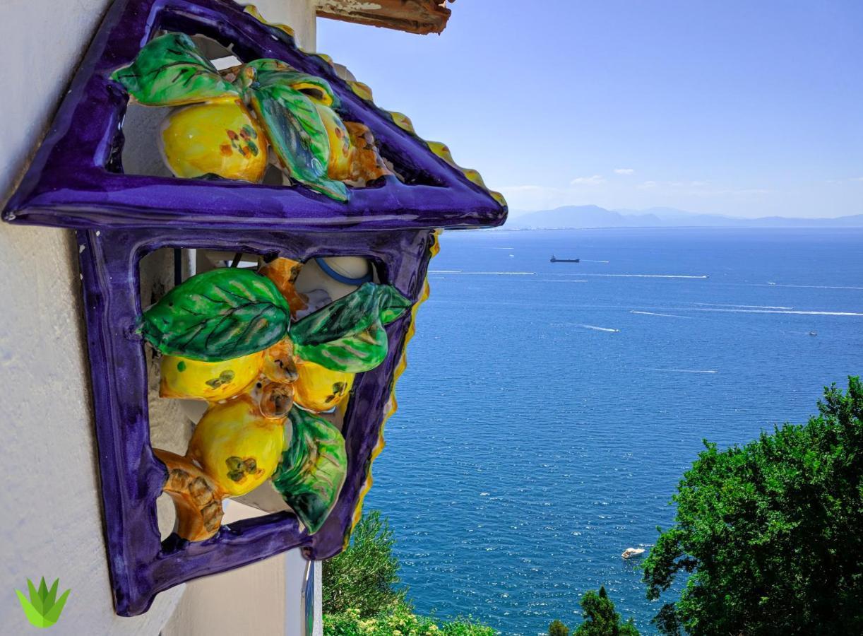 Villa Delle Agavi Vietri Extérieur photo